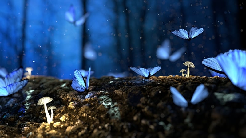 Enchanted Destinations