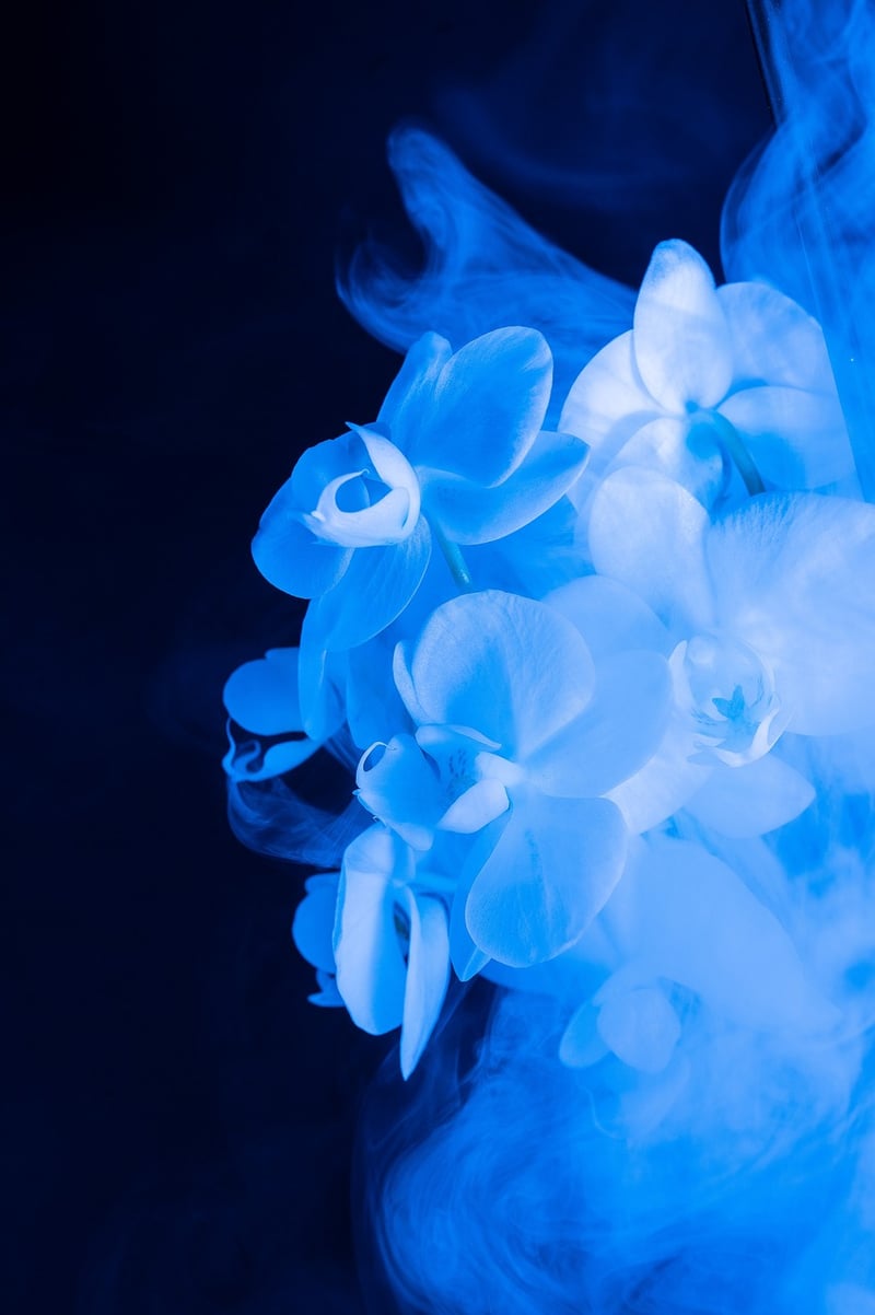 Mystical Florals