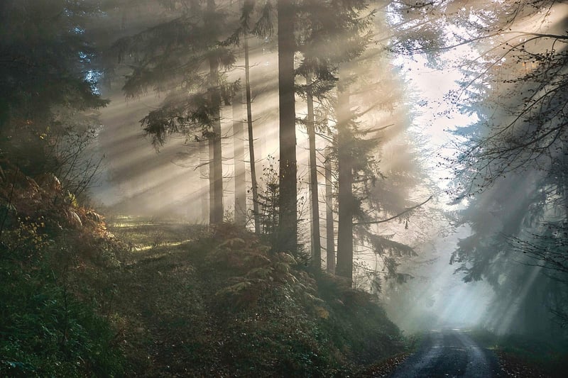 Mystical Decorations